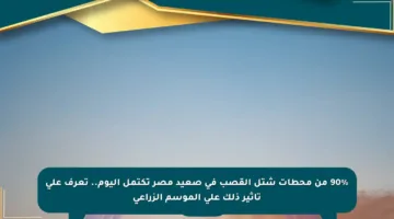 90% من محطات شتل القصب في صعيد مصر تكتمل اليوم.. تعرف على تأثير ذلك على الموسم الزراعي